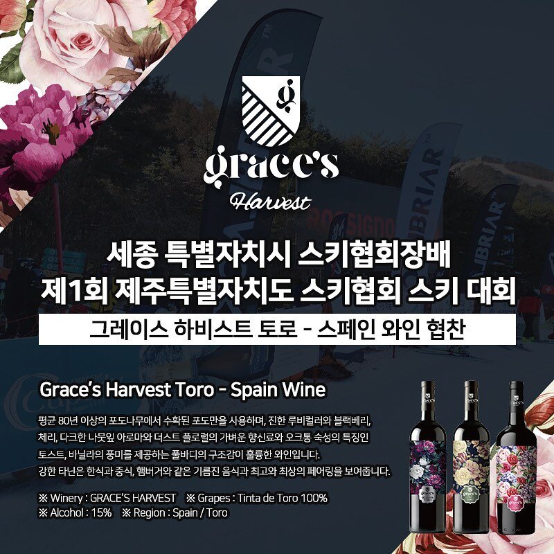 비노브라더스 인스타그램 게시물